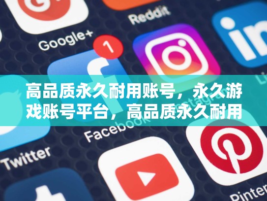 高品质永久耐用账号，永久游戏账号平台，高品质永久耐用账号，您的网络安全守护者