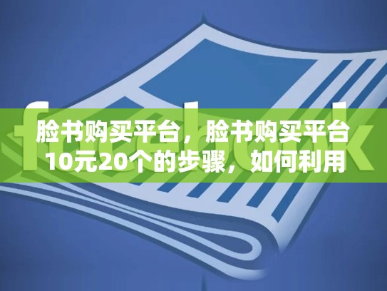 脸书购买平台，脸书购买平台10元20个的步骤，如何利用脸书购买平台提升销售业绩
