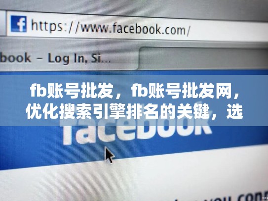 fb账号批发，fb账号批发网，优化搜索引擎排名的关键，选择合适的关键词
