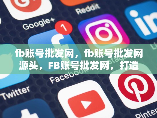 fb账号批发网，fb账号批发网源头，FB账号批发网，打造高效营销渠道的新选择