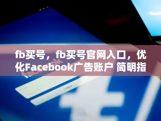 fb买号，fb买号官网入口，优化Facebook广告账户 简明指南
