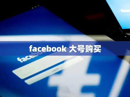 facebook 大号购买