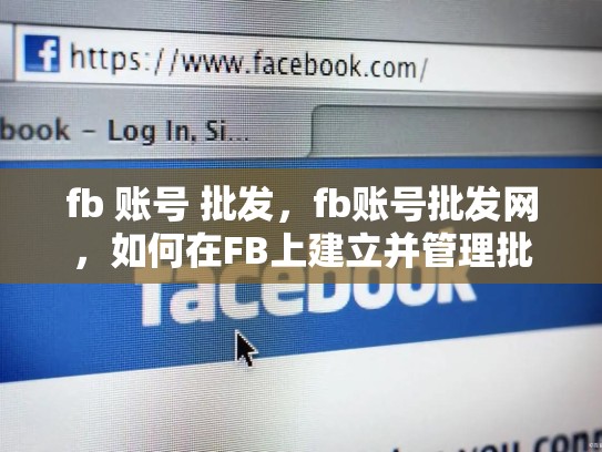 fb 账号 批发，fb账号批发网，如何在FB上建立并管理批发账号，优化SEO策略