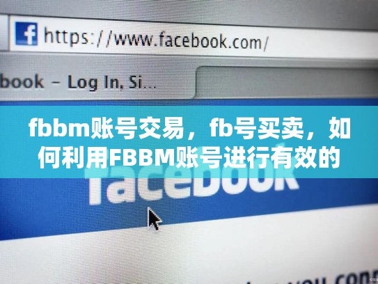 fbbm账号交易，fb号买卖，如何利用FBBM账号进行有效的交易活动—解锁你的商业潜能