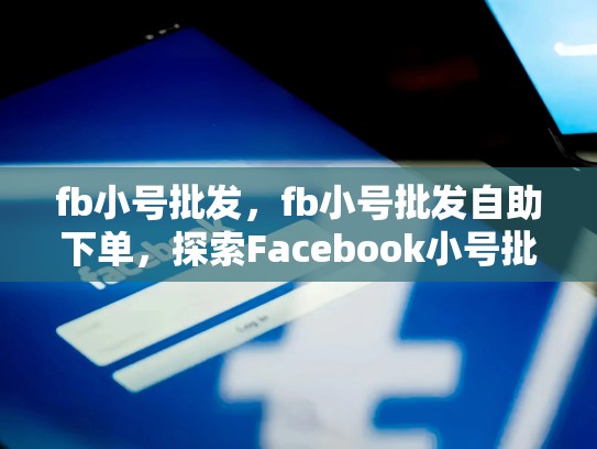 fb小号批发，fb小号批发自助下单，探索Facebook小号批发市场—打造个人品牌的新途径