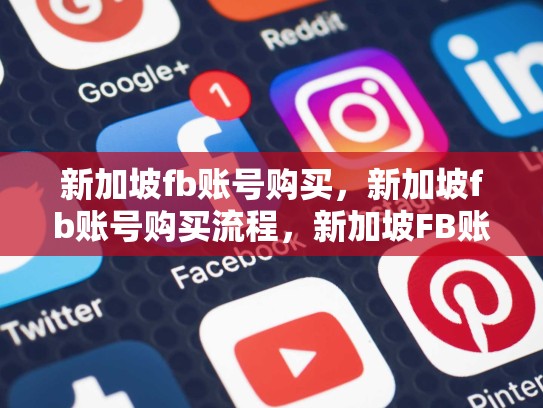 新加坡fb账号购买，新加坡fb账号购买流程，新加坡FB账号购买:路径与策略指南