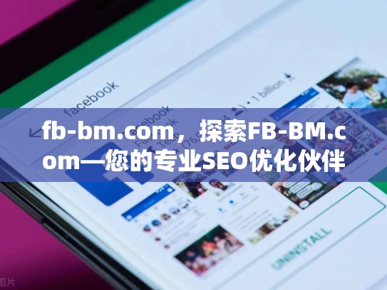fb-bm.com，探索FB-BM.com—您的专业SEO优化伙伴