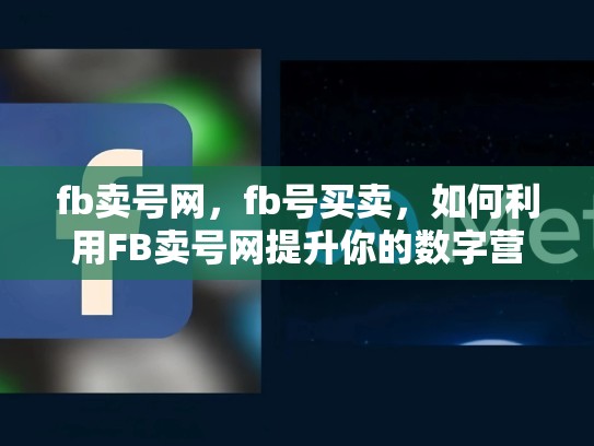 fb卖号网，fb号买卖，如何利用FB卖号网提升你的数字营销策略？