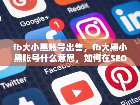 fb大小黑账号出售，fb大黑小黑账号什么意思，如何在SEO中脱颖而出，Facebook大号账号出售策略