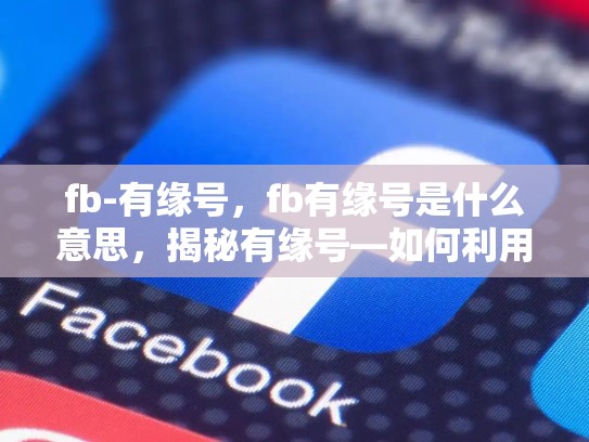fb-有缘号，fb有缘号是什么意思，揭秘有缘号—如何利用Facebook实现精准营销