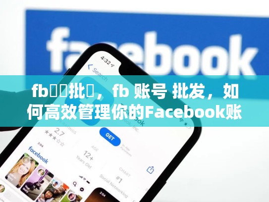 fb帳號批發，fb 账号 批发，如何高效管理你的Facebook账号，批批发货指南