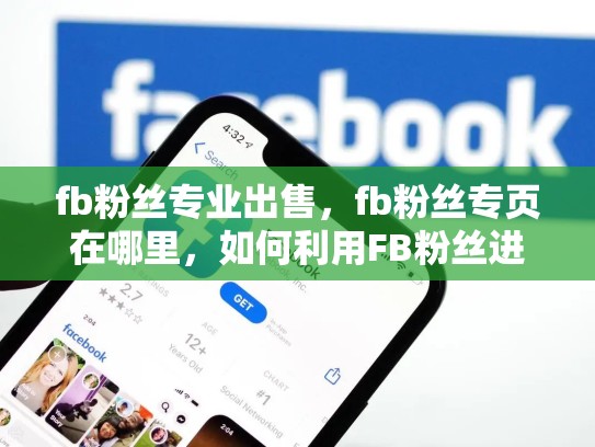 fb粉丝专业出售，fb粉丝专页在哪里，如何利用FB粉丝进行专业销售 优化SEO策略的指南