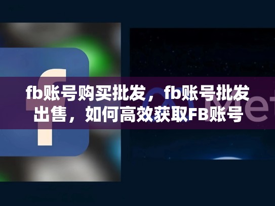 fb账号购买批发，fb账号批发出售，如何高效获取FB账号并进行批发操作？