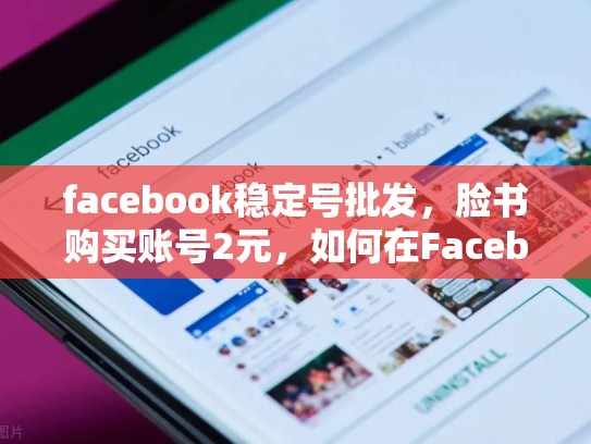 facebook稳定号批发，脸书购买账号2元，如何在Facebook上获取稳定的广告收益？揭秘Facebook稳定号批发的秘密