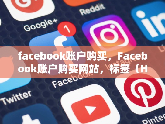 facebook账户购买，Facebook账户购买网站，标签（H1）元描述、图像alt文本等关键位置插入选定的关键词