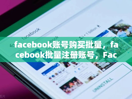 facebook账号购买批量，facebook批量注册账号，Facebook账号购买批量SEO优化指南
