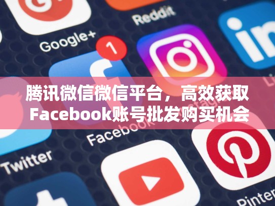 腾讯微信微信平台，高效获取 Facebook账号批发购买机会，facebook账号批发城