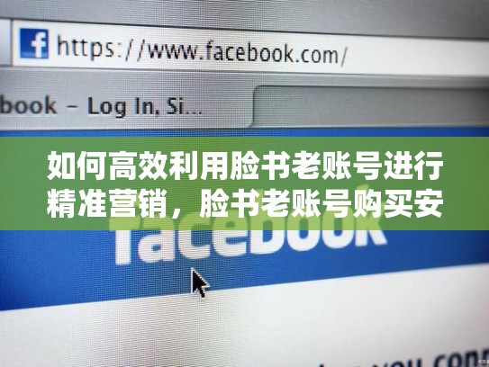 如何高效利用脸书老账号进行精准营销，脸书老账号购买安全吗