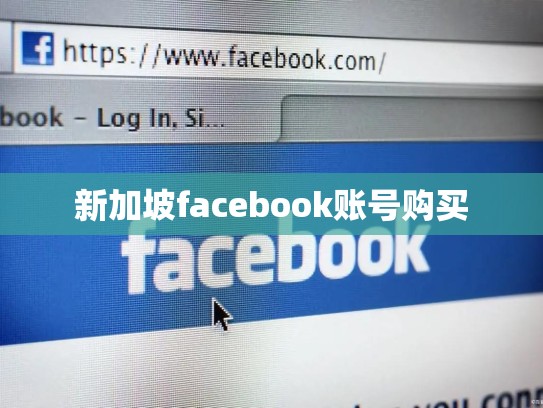 新加坡facebook账号购买