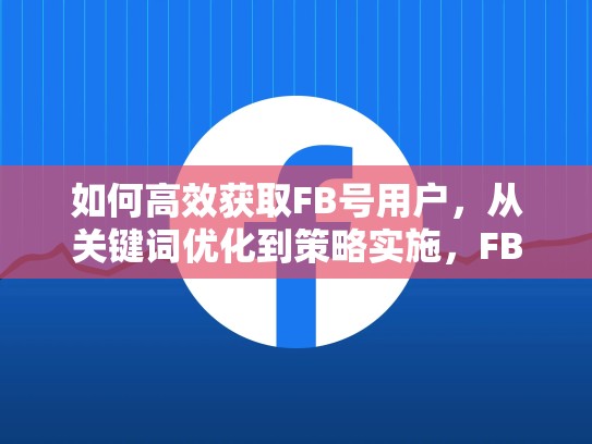 如何高效获取FB号用户，从关键词优化到策略实施，FB号购买