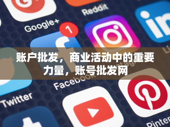 账户批发，商业活动中的重要力量，账号批发网