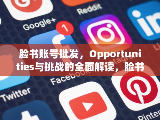 脸书账号批发，Opportunities与挑战的全面解读，脸书账号批发Facebook账号