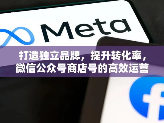 打造独立品牌,提升转化率,微信公众号商店号的高效运营,facebook商城账号购买