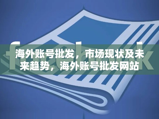 海外账号批发，市场现状及未来趋势，海外账号批发网站