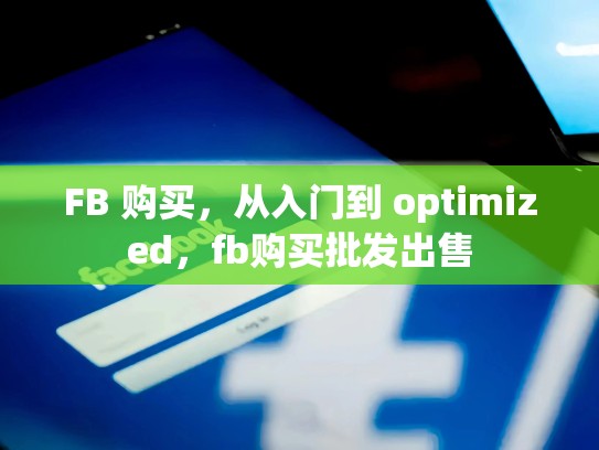 FB 购买，从入门到 optimized，fb购买批发出售