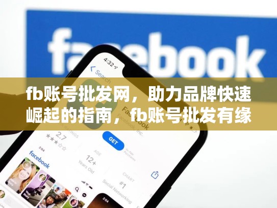 fb账号批发网,助力品牌快速崛起的指南,fb账号批发有缘