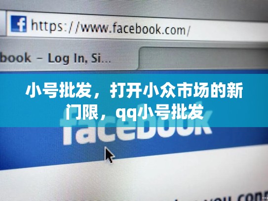小号批发，打开小众市场的新门限，qq小号批发