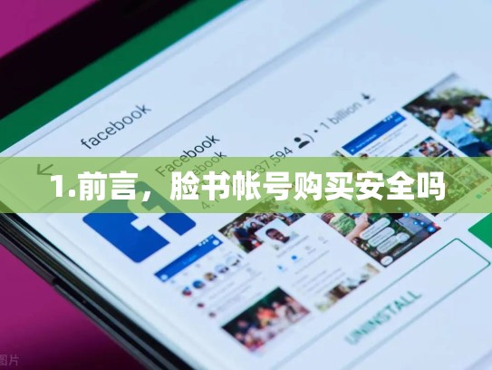 1.前言，脸书帐号购买安全吗