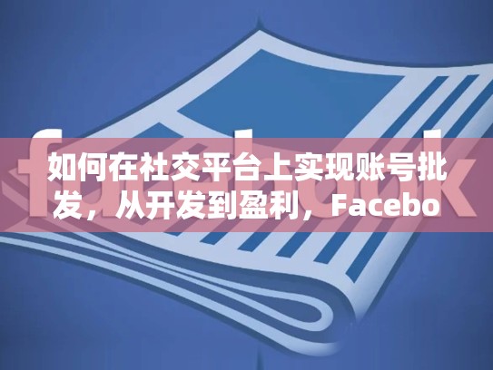 如何在社交平台上实现账号批发,从开发到盈利,Facebook账号批发