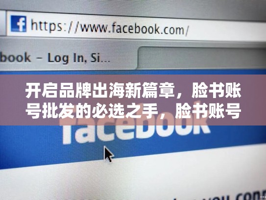 开启品牌出海新篇章,脸书账号批发的必选之手,脸书账号批发网
