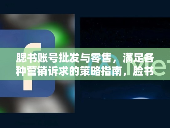 腮书账号批发与零售，满足各种营销诉求的策略指南，脸书账号批发网
