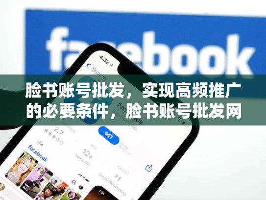脸书账号批发，实现高频推广的必要条件，脸书账号批发网