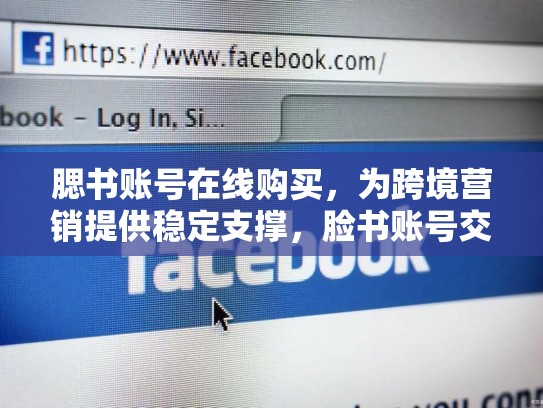 腮书账号在线购买，为跨境营销提供稳定支撑，脸书账号交易平台
