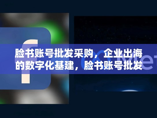 脸书账号批发采购，企业出海的数字化基建，脸书账号批发网