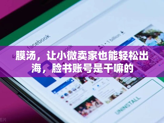 膜汤，让小微卖家也能轻松出海，脸书账号是干嘛的