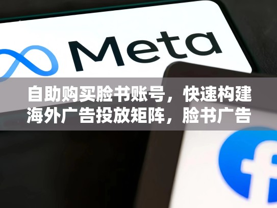 自助购买脸书账号，快速构建海外广告投放矩阵，脸书广告账号批发平台