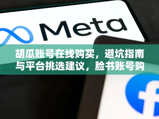 胡瓜账号在线购买，避坑指南与平台挑选建议，脸书账号购买网站