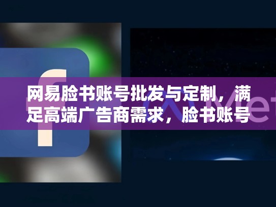 网易脸书账号批发与定制，满足高端广告商需求，脸书账号批发网
