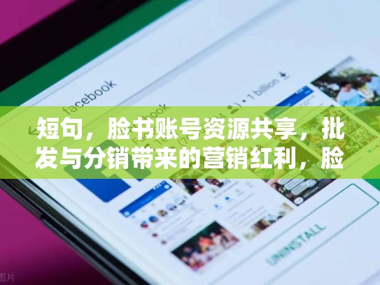 短句，脸书账号资源共享，批发与分销带来的营销红利，脸书账号分享大全