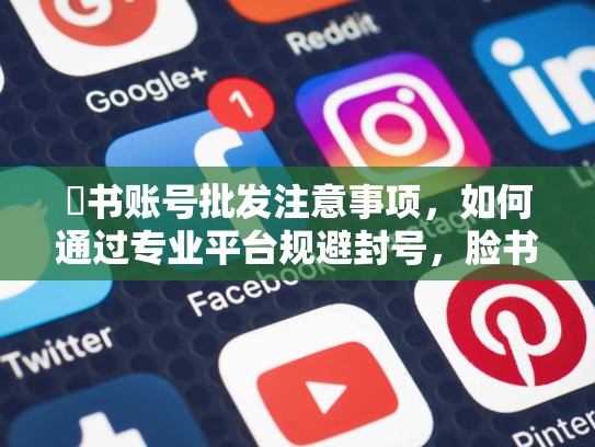 腣书账号批发注意事项，如何通过专业平台规避封号，脸书账号批发网