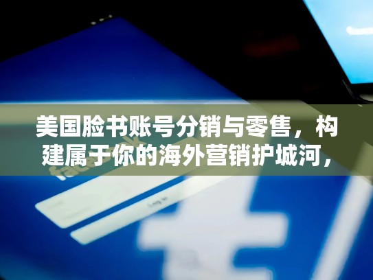 美国脸书账号分销与零售，构建属于你的海外营销护城河，脸书账户是什么