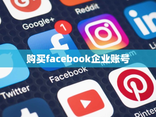 购买facebook企业账号