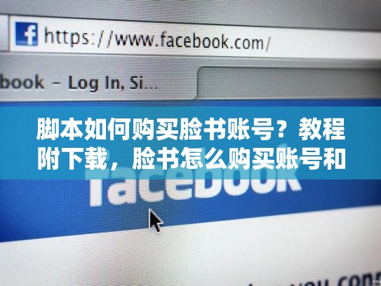 脚本如何购买脸书账号？教程附下载，脸书怎么购买账号和密码