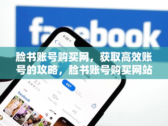 脸书账号购买网,获取高效账号的攻略,脸书账号购买网站