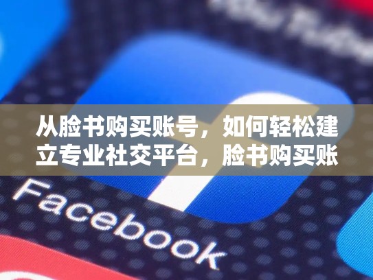 从脸书购买账号,如何轻松建立专业社交平台,脸书购买账号平台