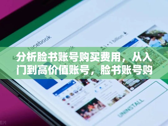 分析脸书账号购买费用，从入门到高价值账号，脸书账号购买多少钱一个
